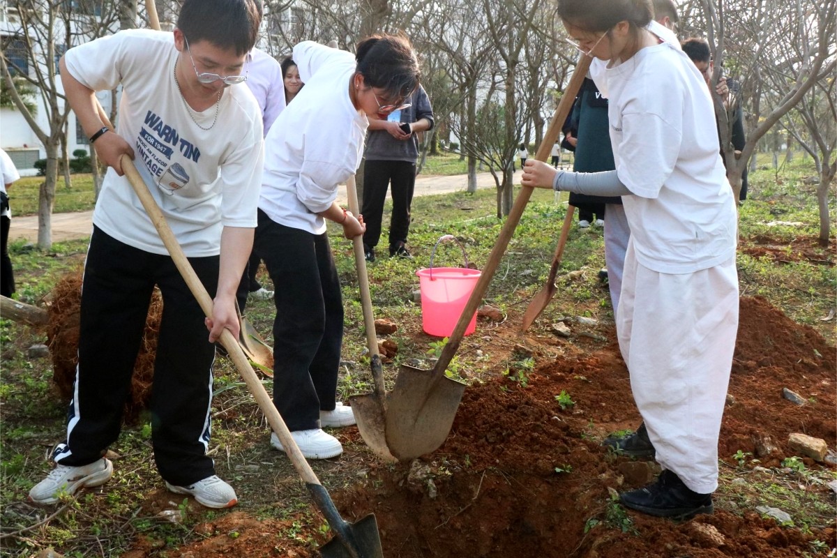 Ultimi blog aziendali su Forestazione tecnologica di Honhai: proteggere i polmoni verdi della terra