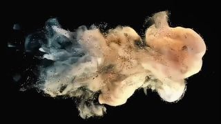 Polvere per sviluppatore Toshiba D5070 500 g per e-STUDIO